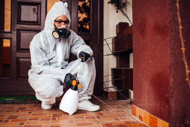 Reliable Bed Bug Control contractor in Passapatanzy, VA by Nex Pest Control