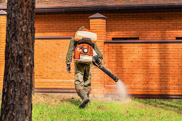Top rated local Bed Bug Control specialists in Passapatanzy, VA